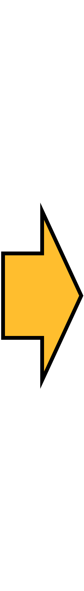 Yellow arrow with black border This yellow arrow pointing to the right indicates that if the core features in the column to the left are met, then the action items in the column to the right are suggested.